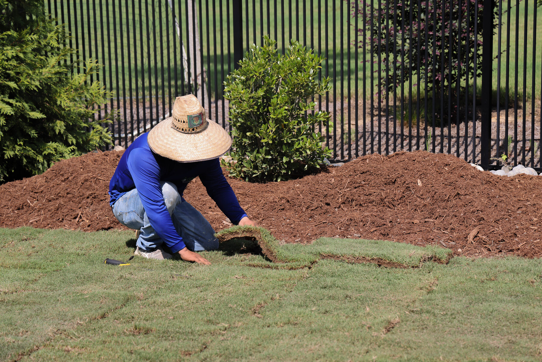 Laying new turf beside a freshly mulched bed